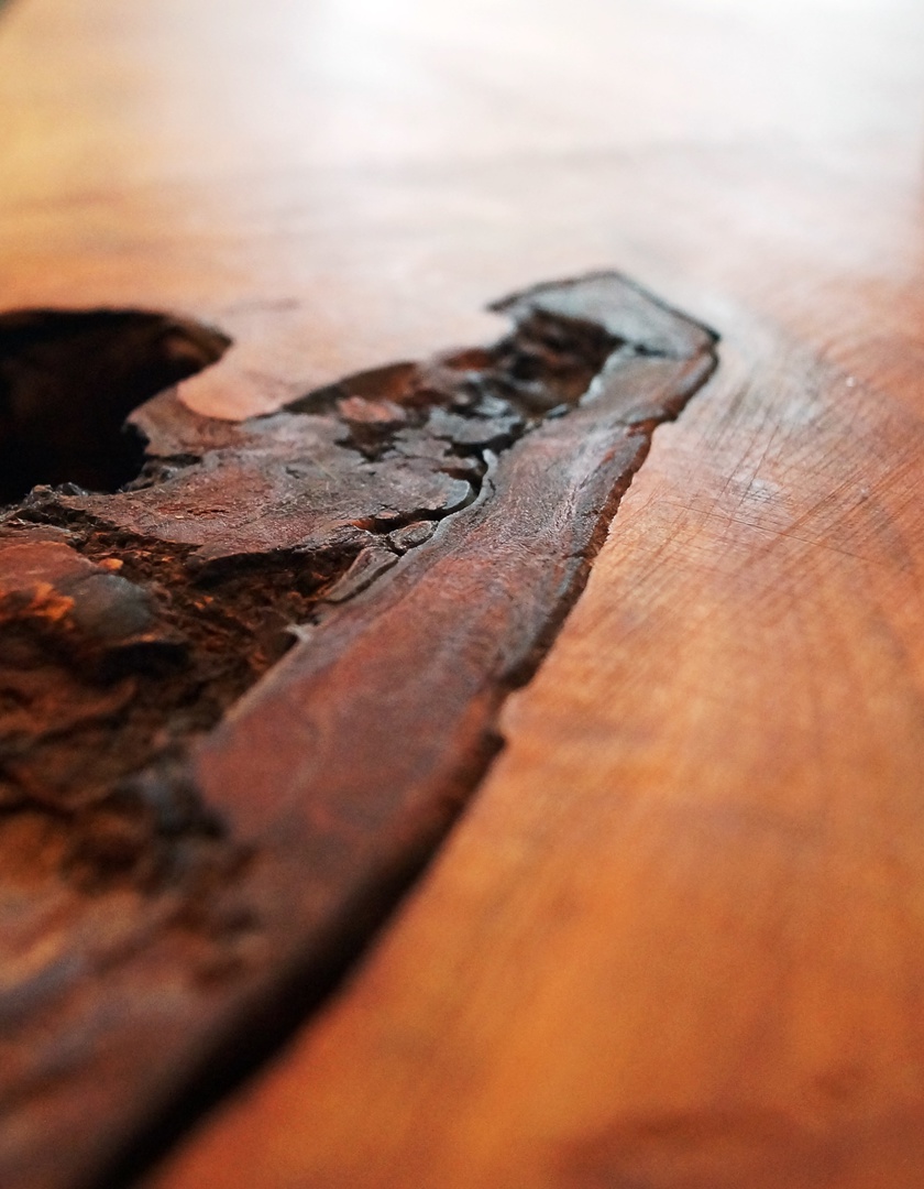 Projekt „Mein Baum“ – Bild 7