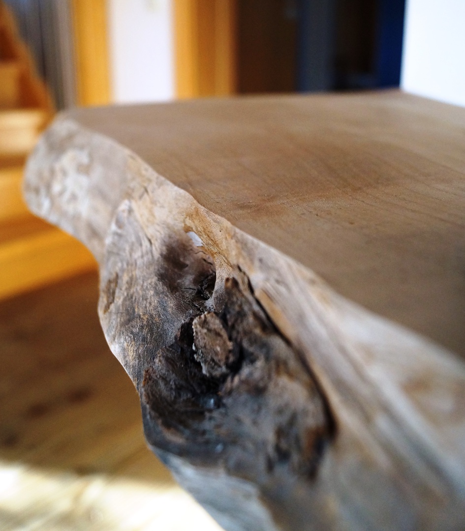 Projekt „Mein Baum“ – Bild 8