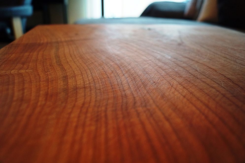 Projekt „Mein Baum“ – Bild 6