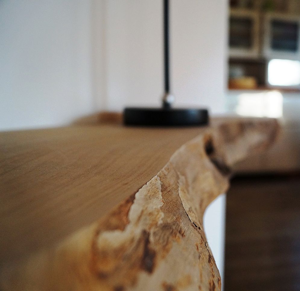 Projekt „Mein Baum“ – Bild 9