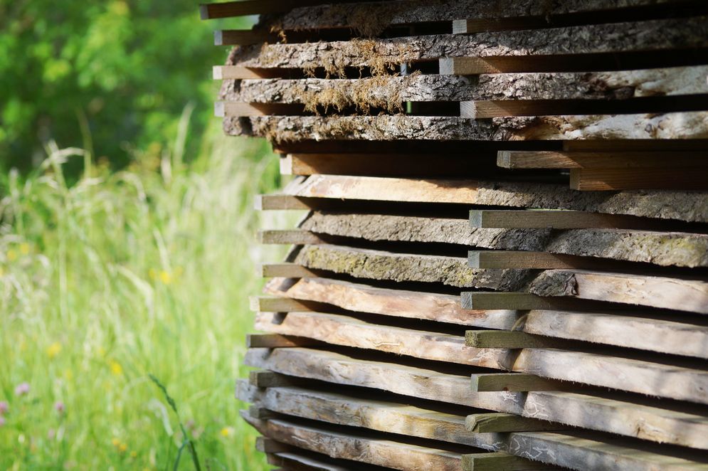 Holzverkauf/Lohntrocknung – Bild 1