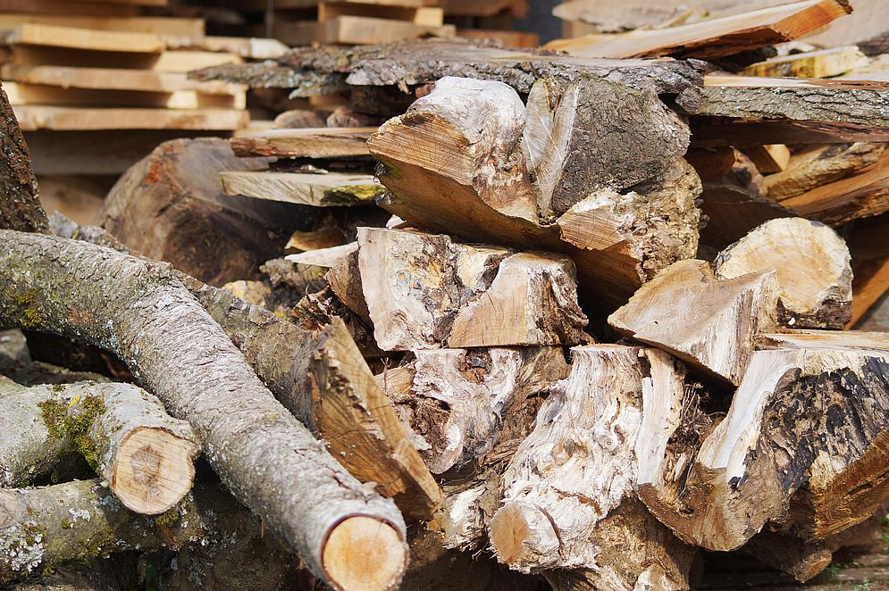 Projekt „Mein Baum“ – Bild 21