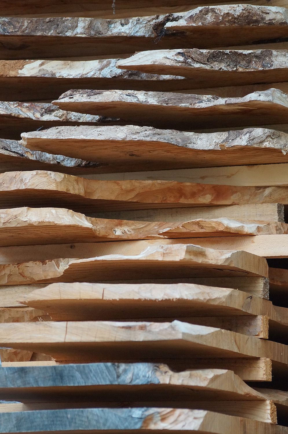 Projekt „Mein Baum“ – Bild 34