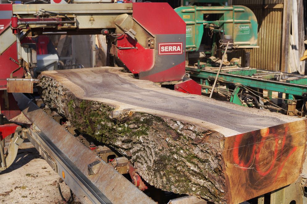Holzverkauf/Lohntrocknung – Bild 3